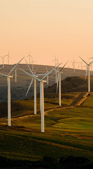 A large group of modern windmills.