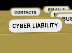 Blog Post The Importance of Cyber Liability Insurance for Construction Companies