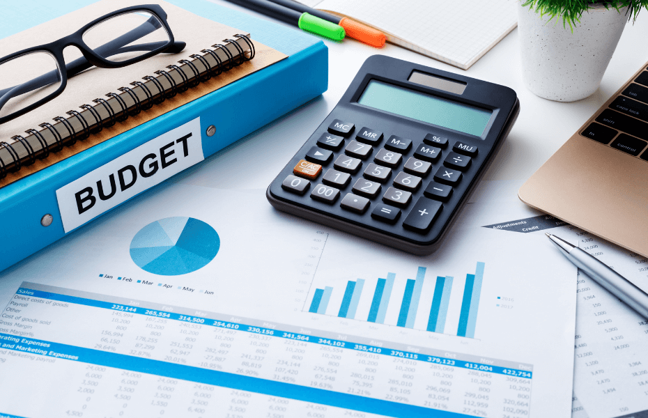 Leadership budgeting software analysis