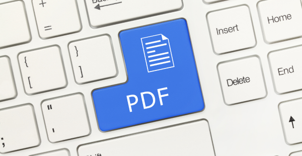 Close-up of a white computer keyboard with a prominent blue key displaying a document icon and the text 'PDF' in white letters, surrounded by standard keyboard keys including Backspace, Insert, Delete, Home, End, and Shift.