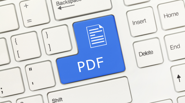 Close-up of a white computer keyboard with a prominent blue key displaying a document icon and the text 'PDF' in white letters, surrounded by standard keyboard keys including Backspace, Insert, Delete, Home, End, and Shift.